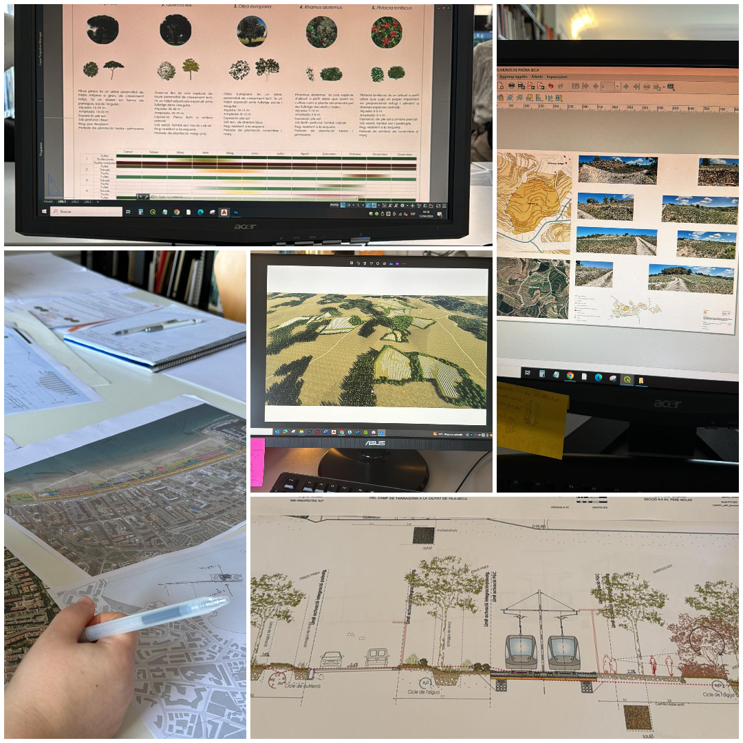 Architettura e Paesaggio: un'esperienza formativa con B2B Arquitectes